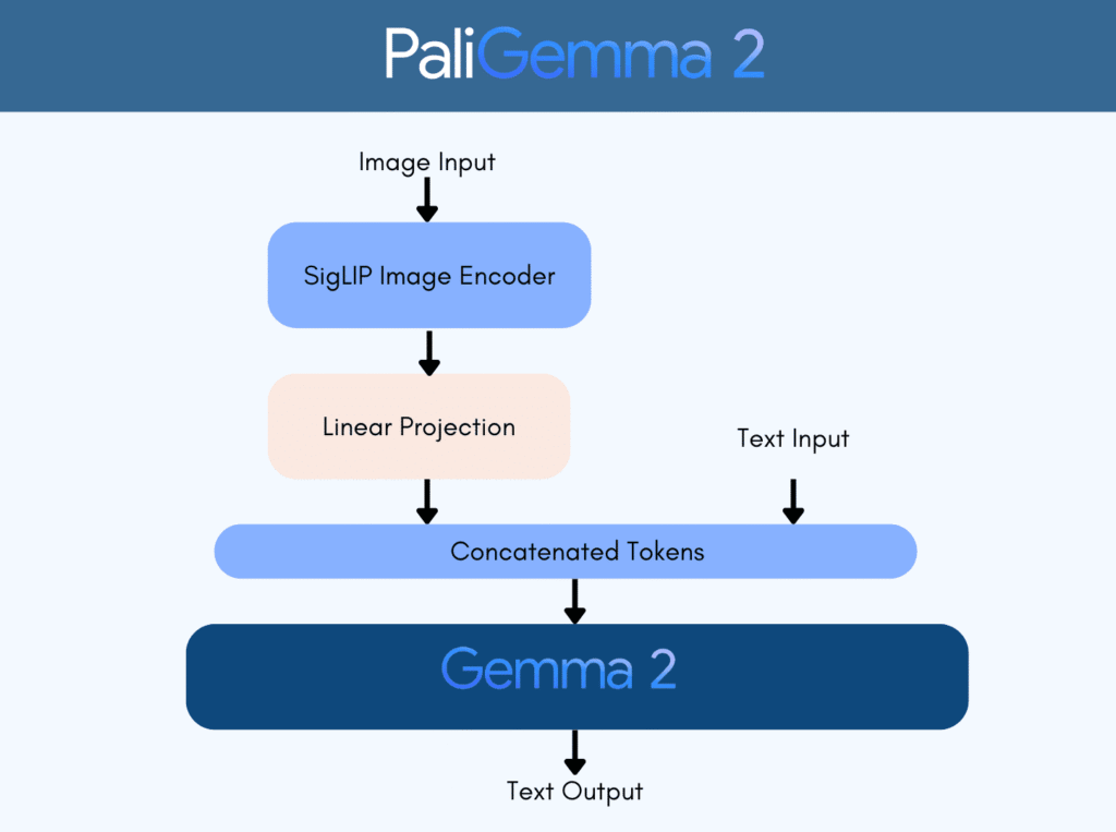 How does Pali gemma Works