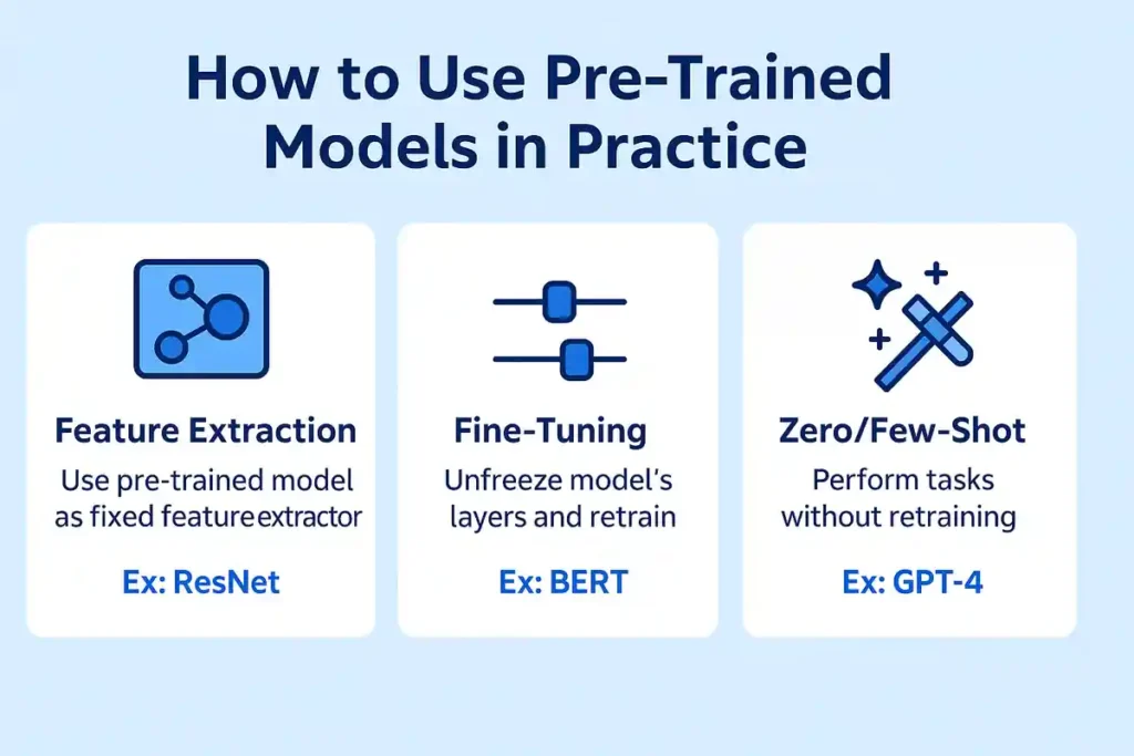 How to Use Pre-Trained Models in Practice
