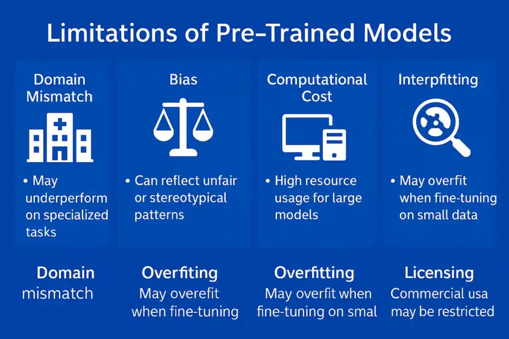 Limitations of Pre-Trained Models